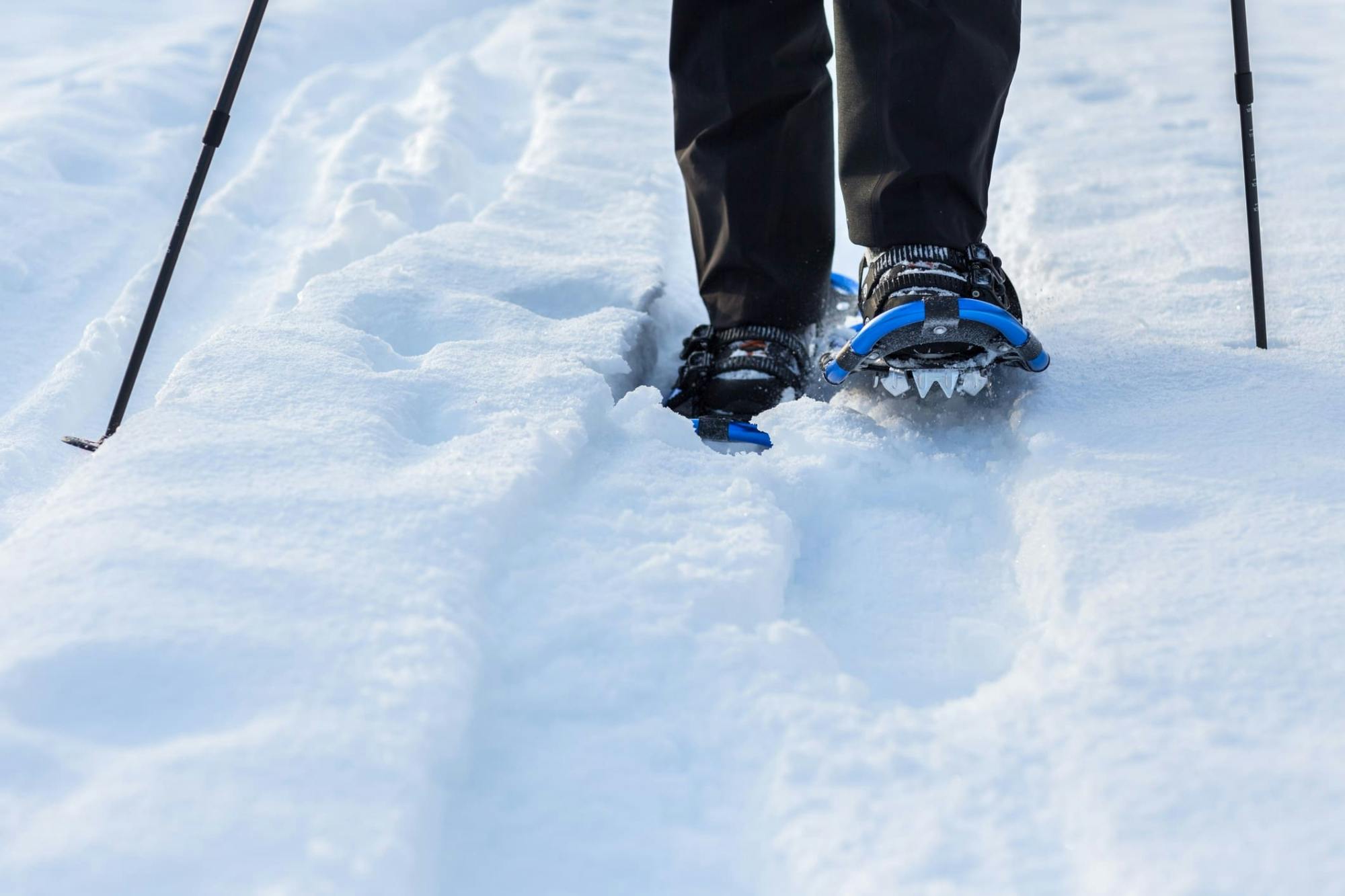 Snowshoe adventure in Vuokatti