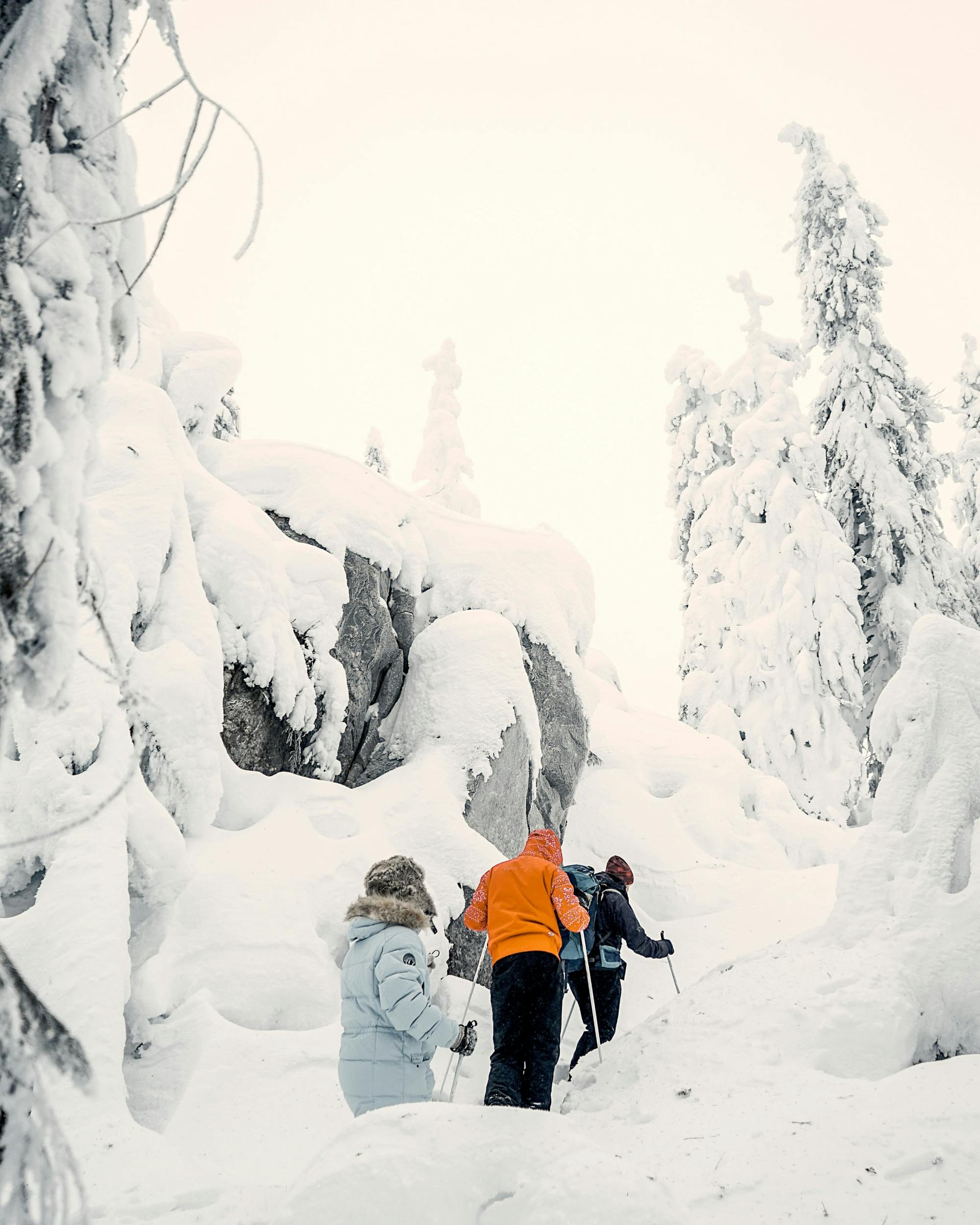 Snowshoe adventure in Vuokatti