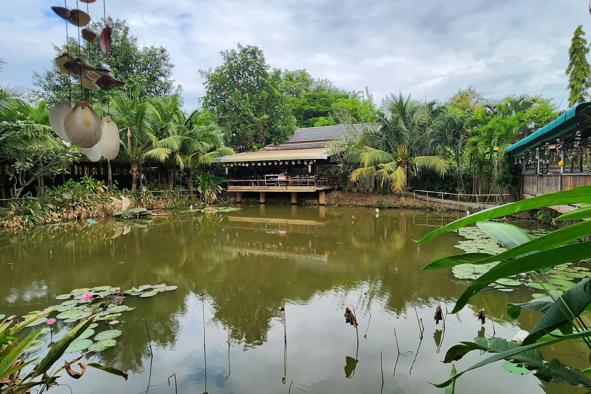 Half-day Thai cooking class in Chiang Mai
