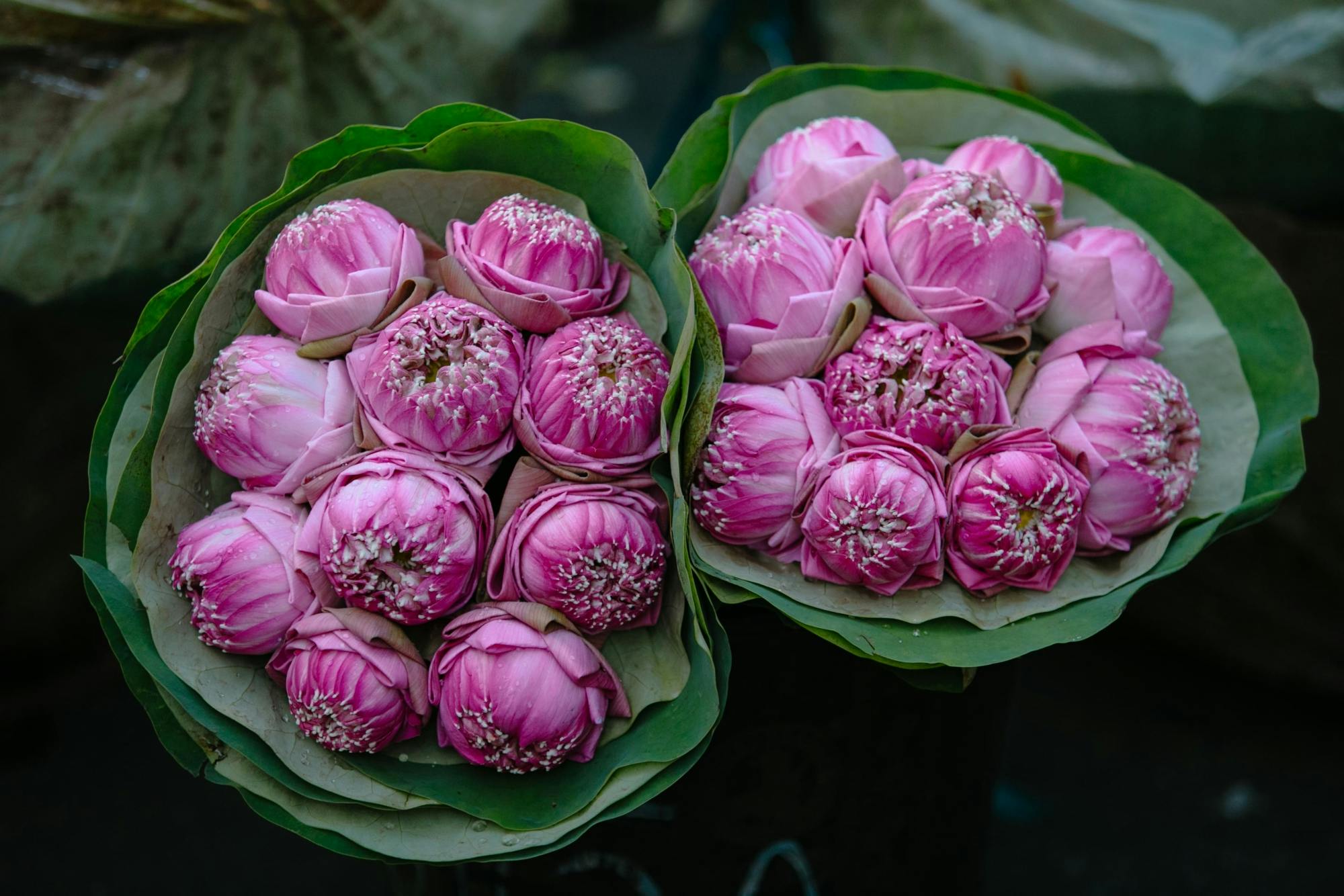 Bangkok Canals and Flower Market