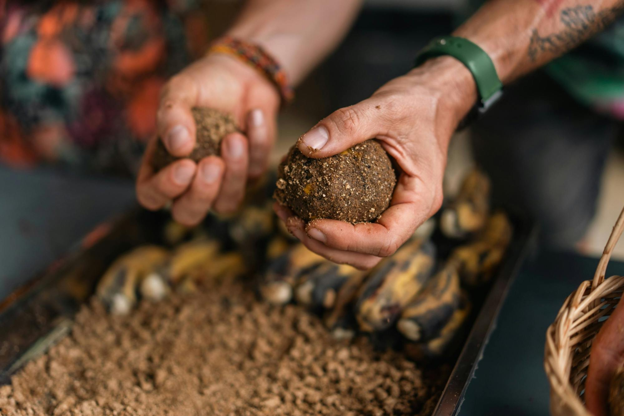 Goan jungle village tour with spice farm and elephant experience