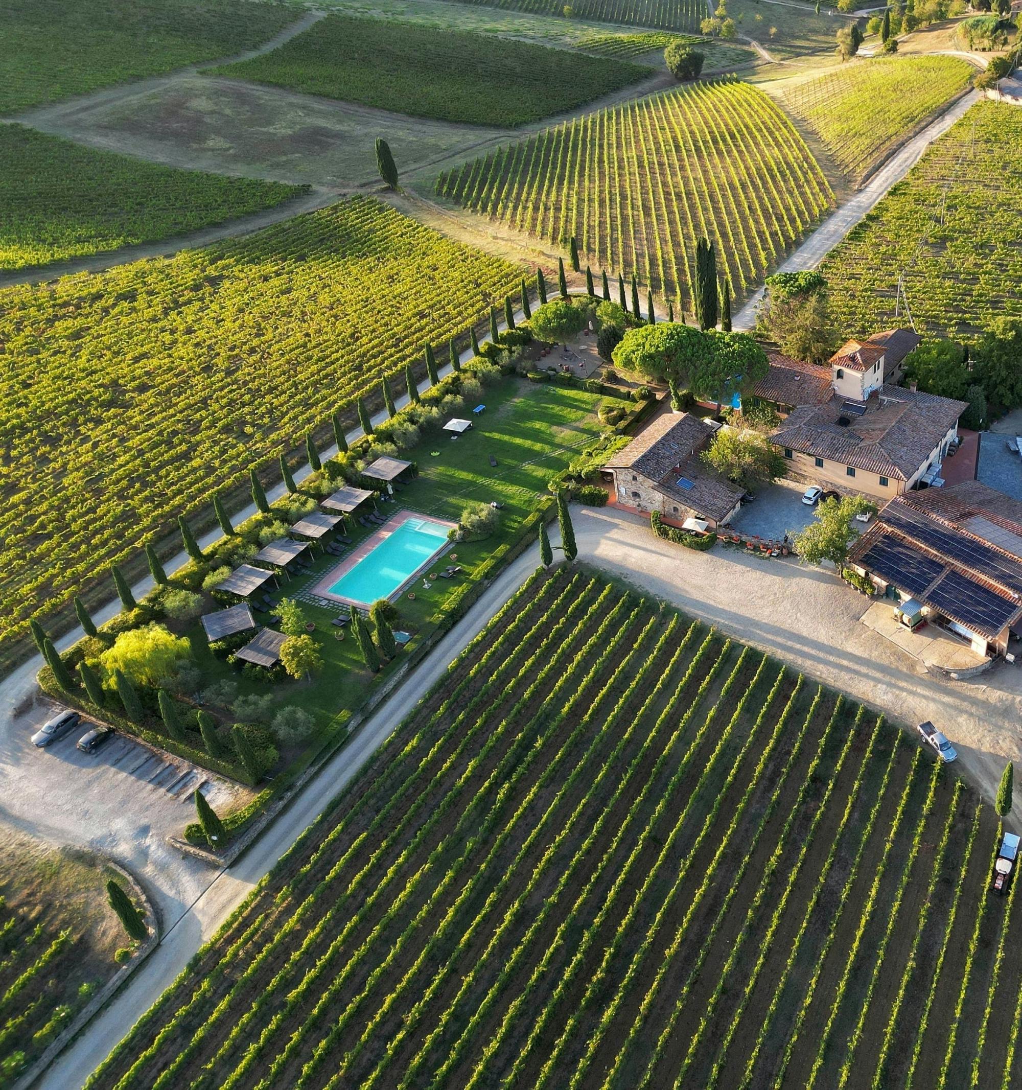 Guided tour and wine tasting in Chianti Classico