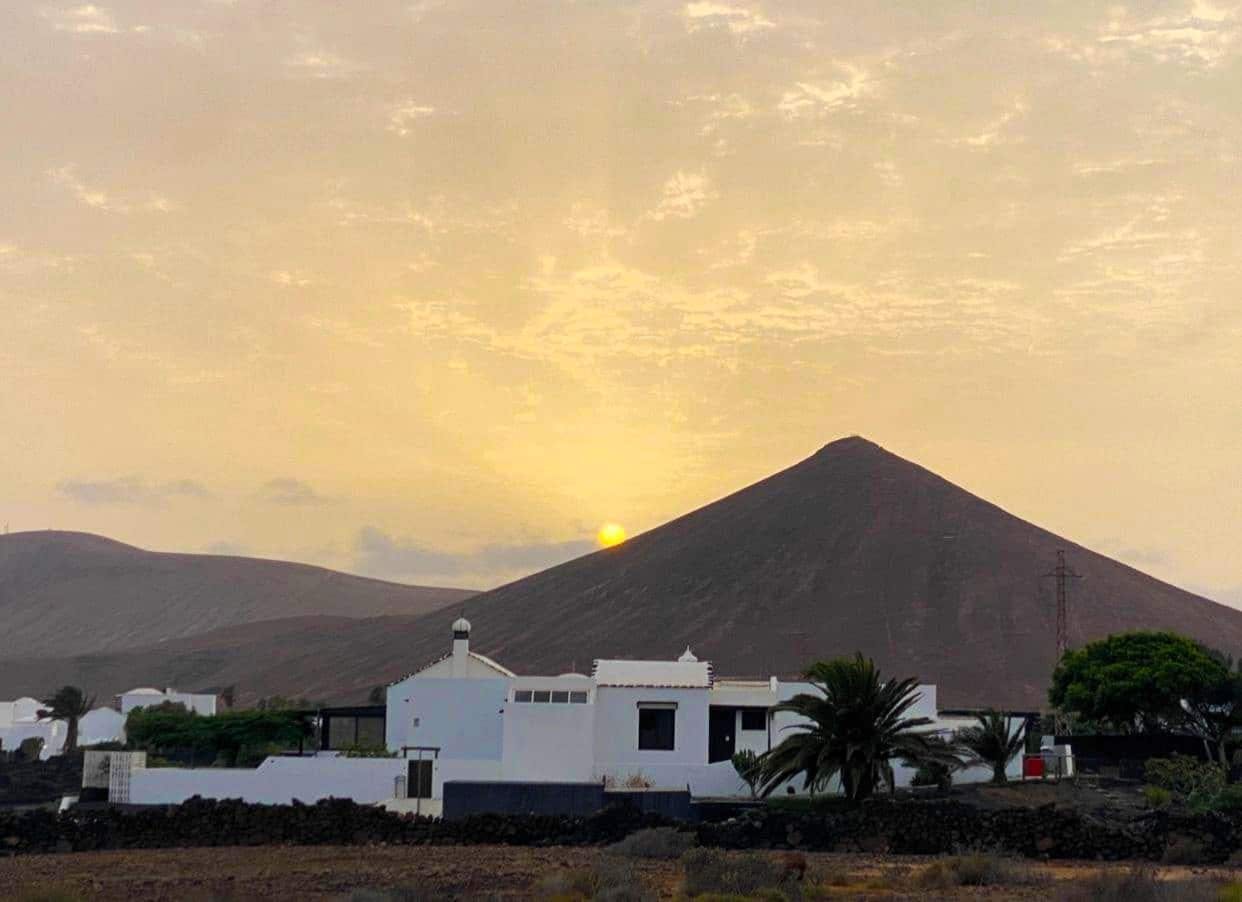 Evening wine-tasting and Lagomar Museum tour in Lanzarote