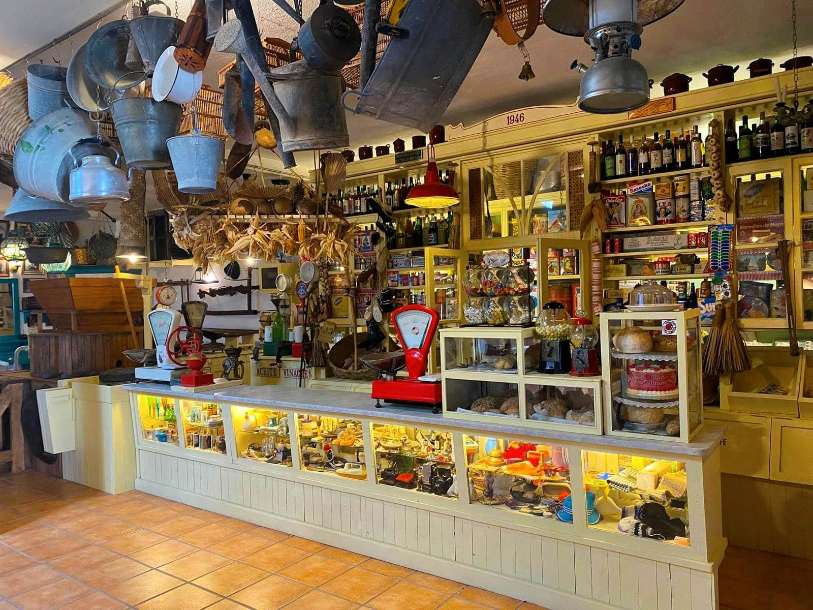 Evening wine-tasting and Lagomar Museum tour in Lanzarote