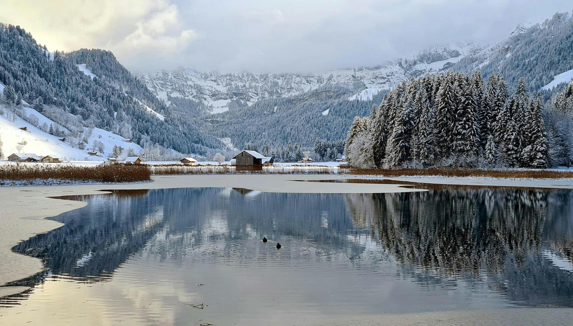 Bernese Oberland winter edition private tour from Zürich