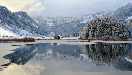 Bernese Oberland winter edition private tour from Zürich