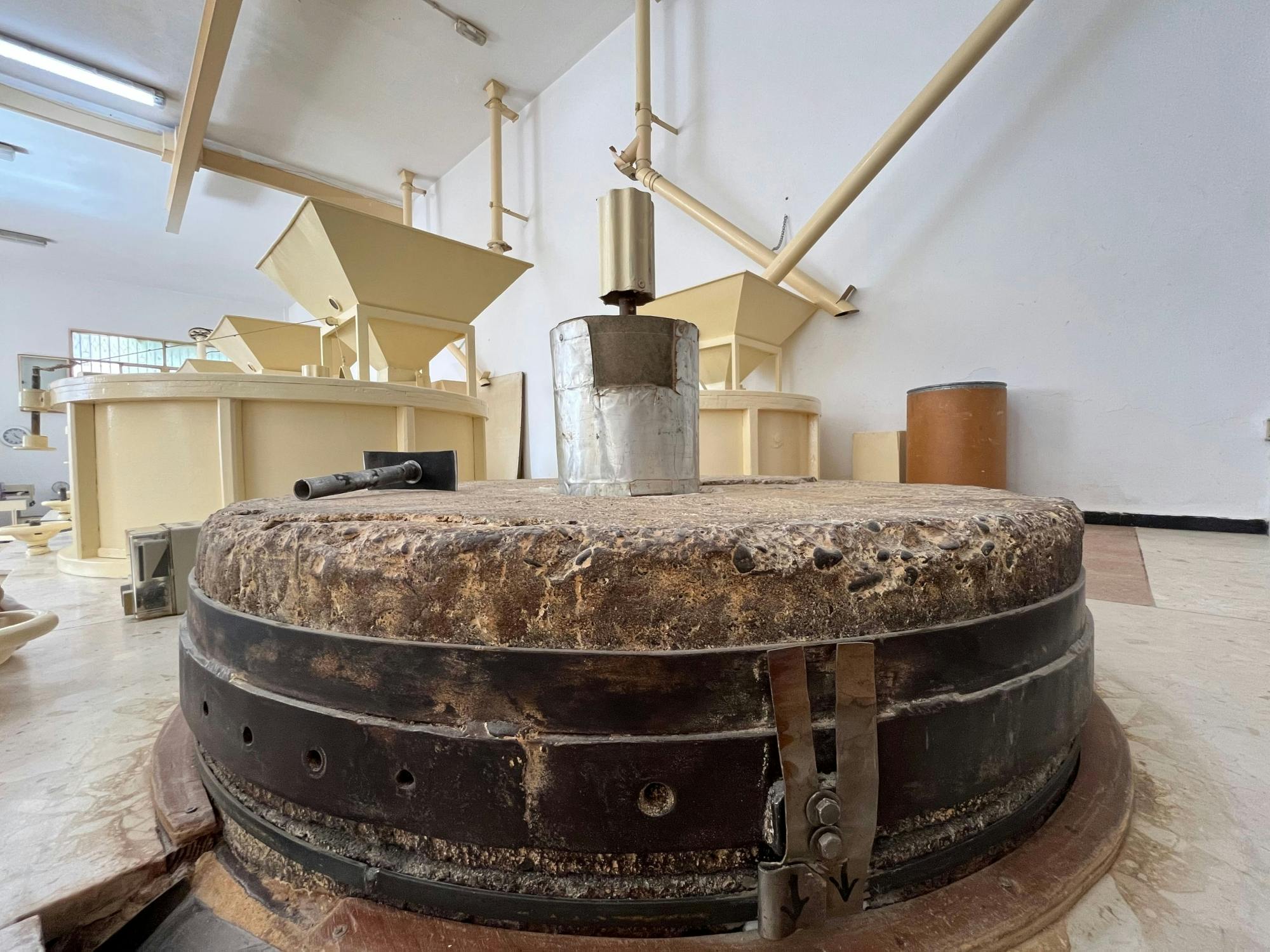 Half-day Gran Canaria food tour with gofio mill and pepper farm