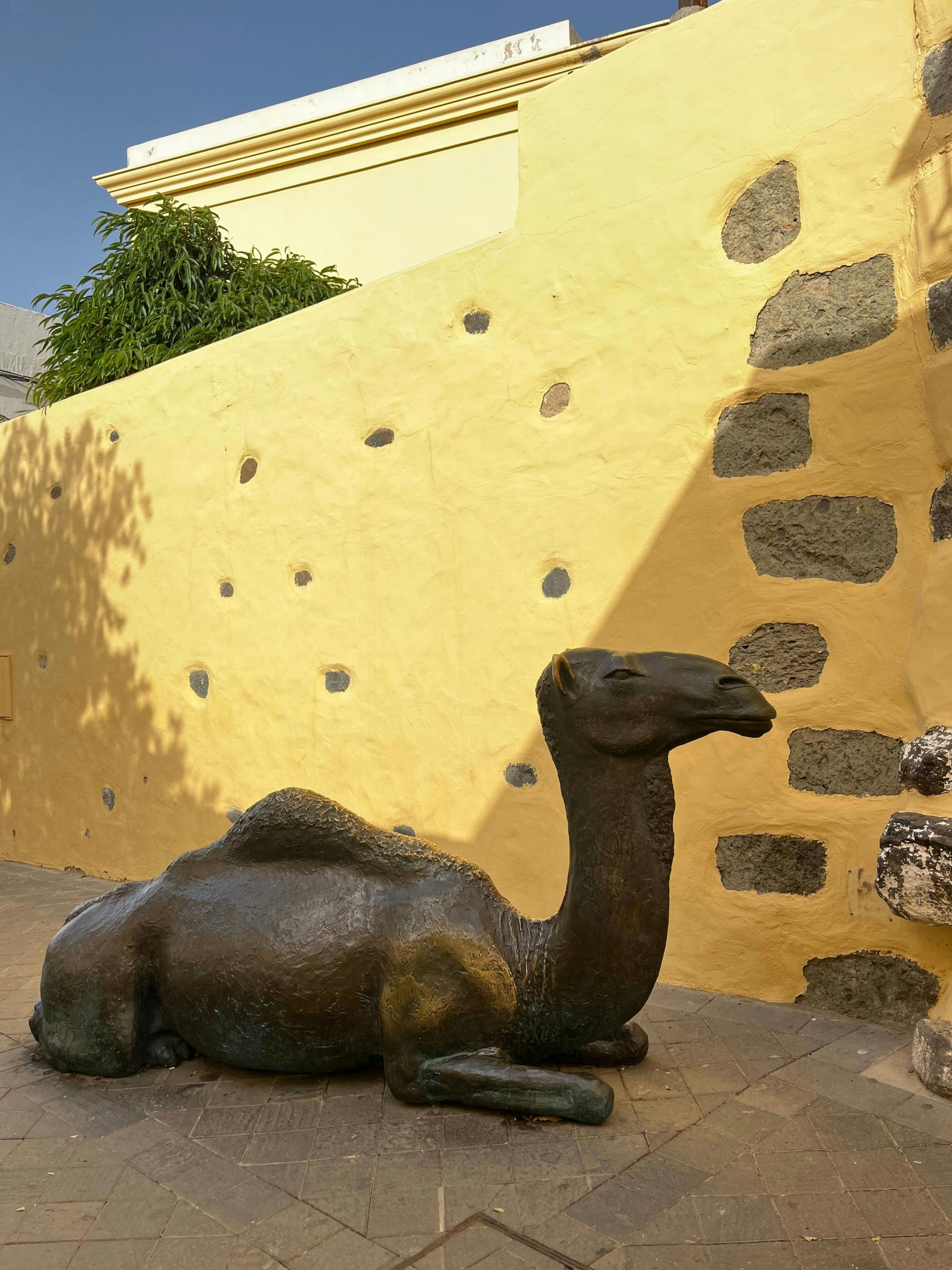 Half-day Gran Canaria food tour with gofio mill and pepper farm