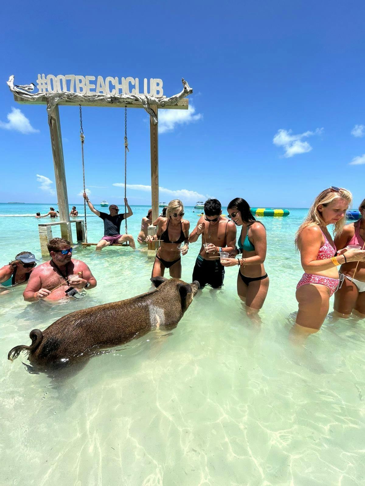Green Turtle Cay, Varkenseiland en Rose Island Tour