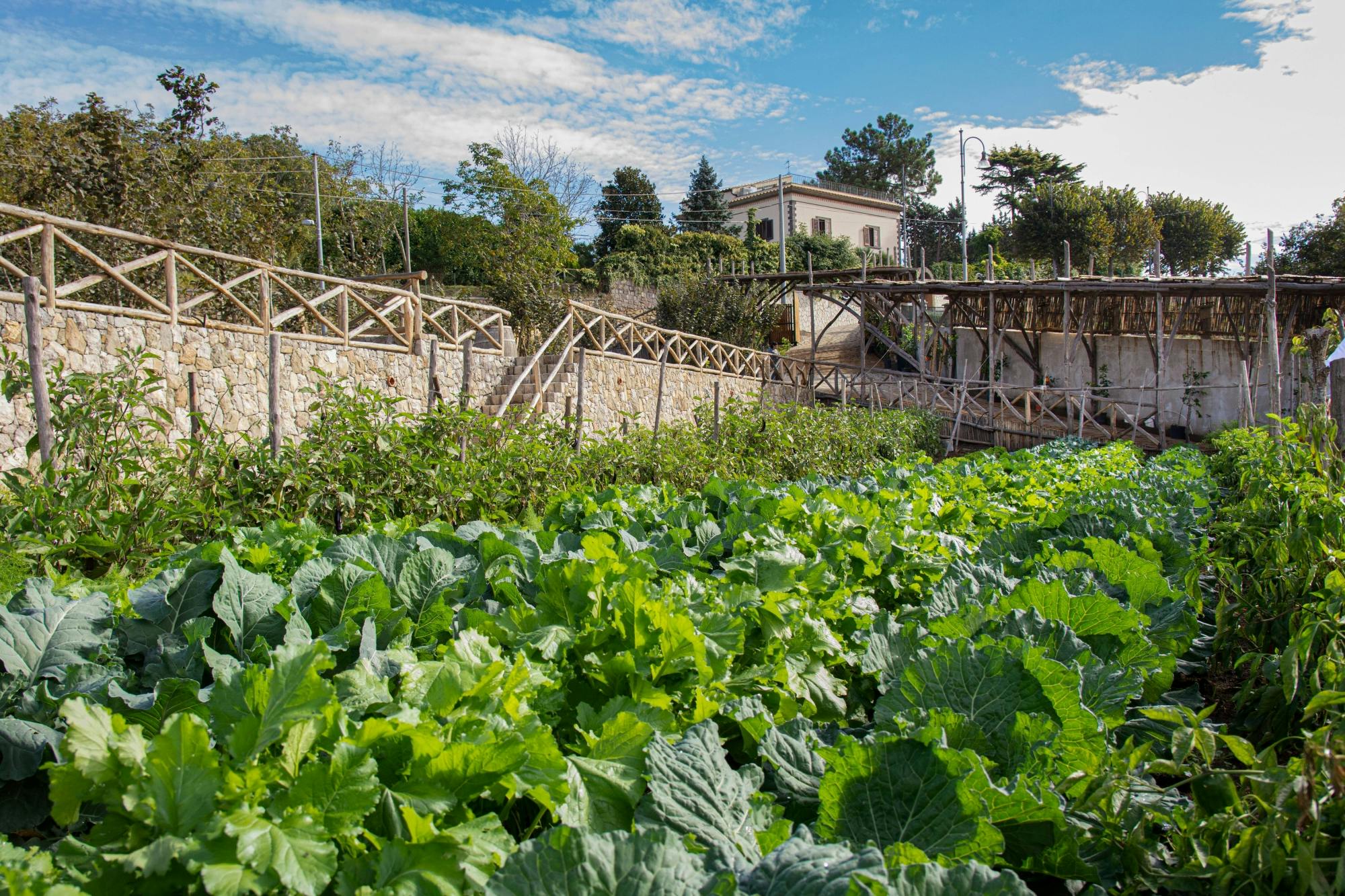 Sorrento's Due Golfi train tour with regional food tastings