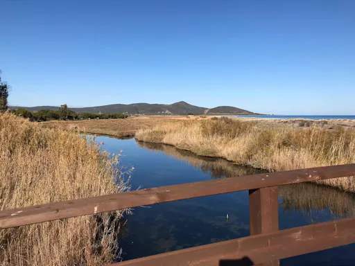 Northeast Sardinia beaches Tour with free time and ice-cream
