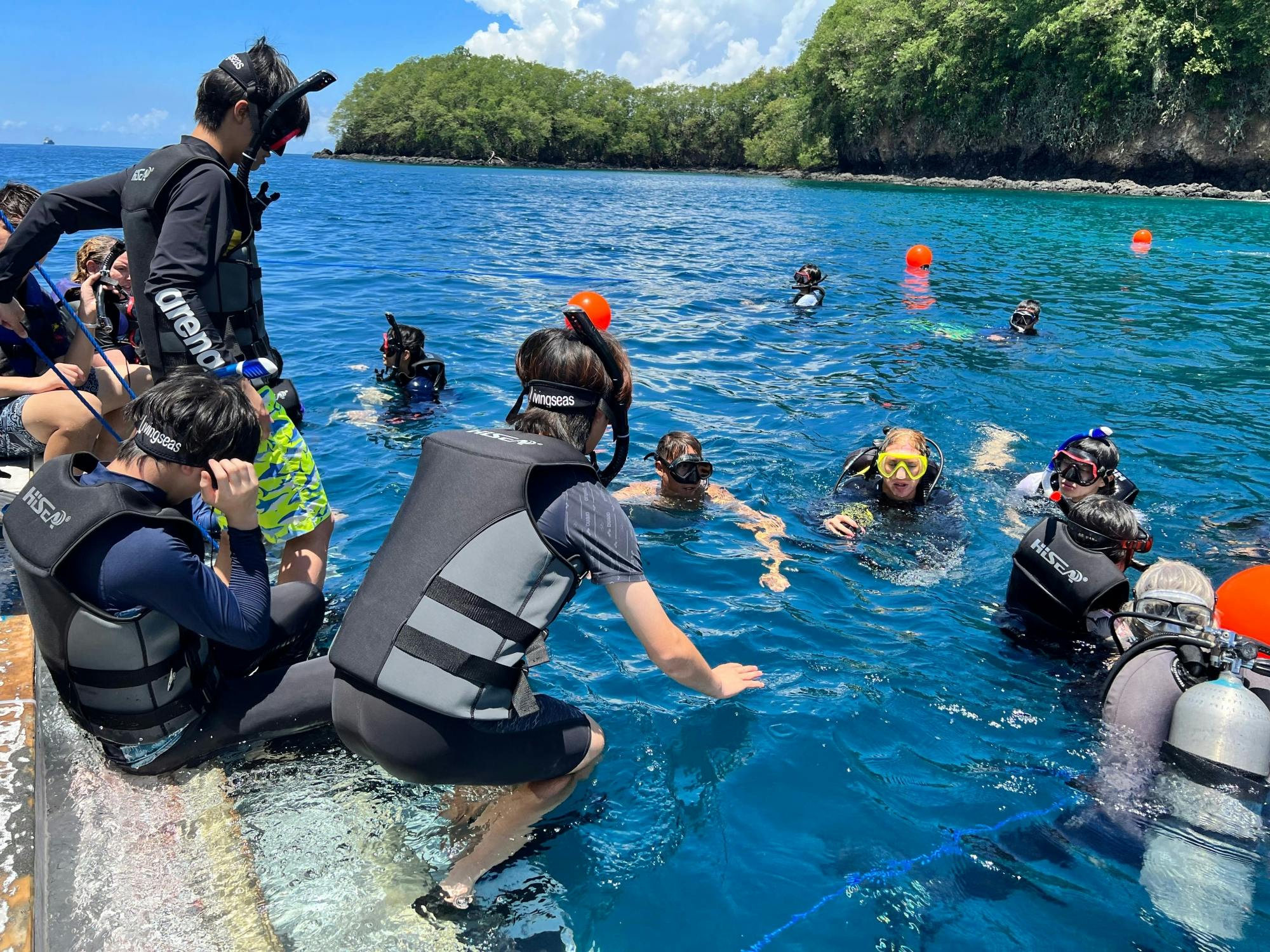 Bali coral restoration snorkelling tour with lunch