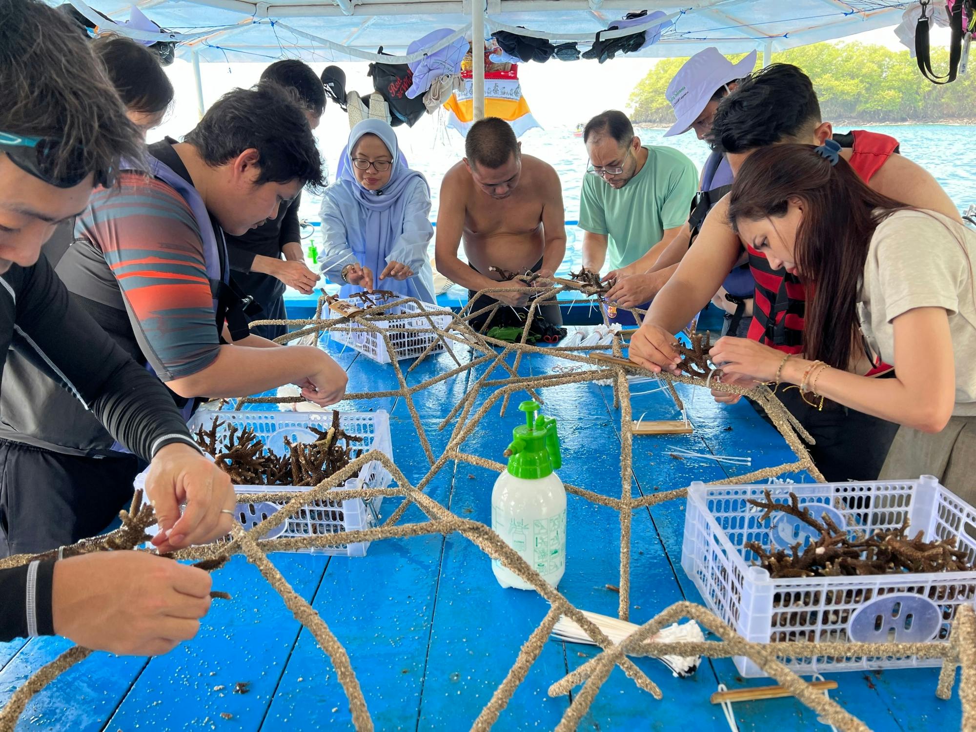 Bali coral restoration snorkelling tour with lunch