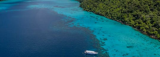 Surin Islands reef snorkel from Phuket