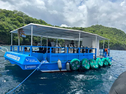 Bali coral restoration snorkelling tour with lunch