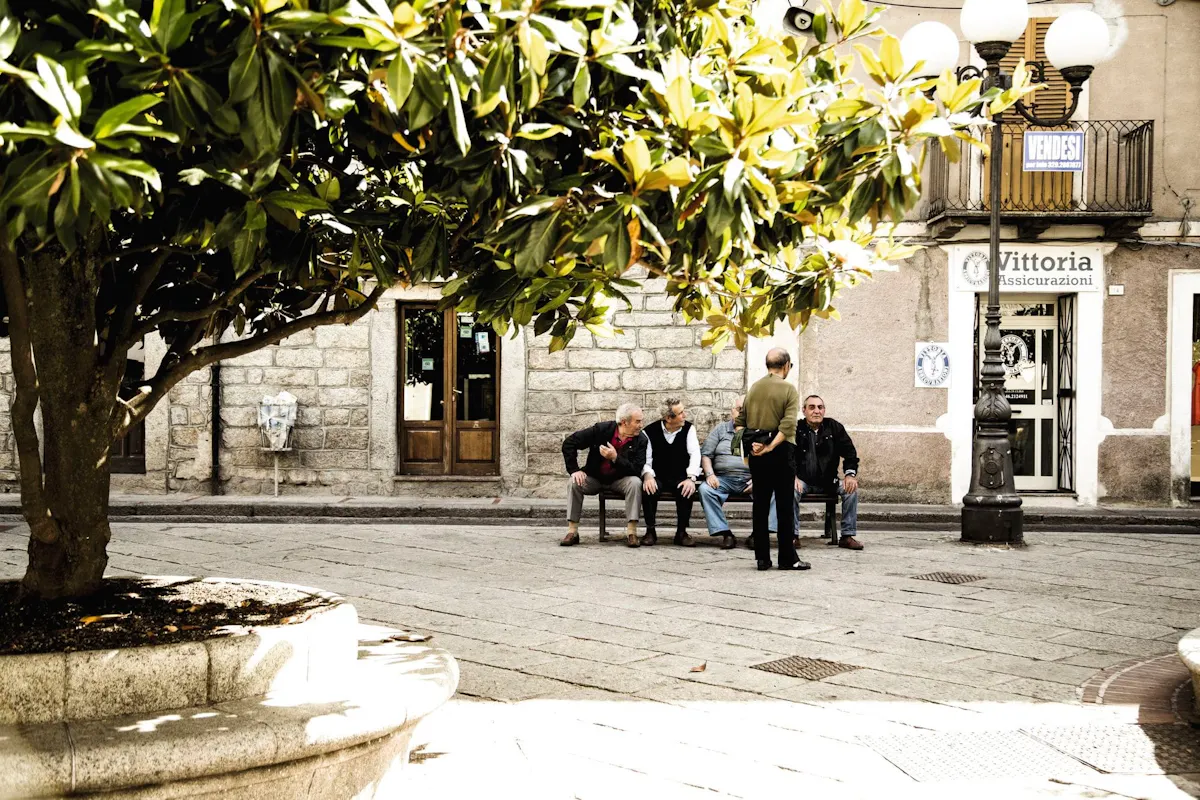 Discover Wonderful Gallura with Lunch
