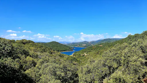 Discover Wonderful Gallura with Lunch