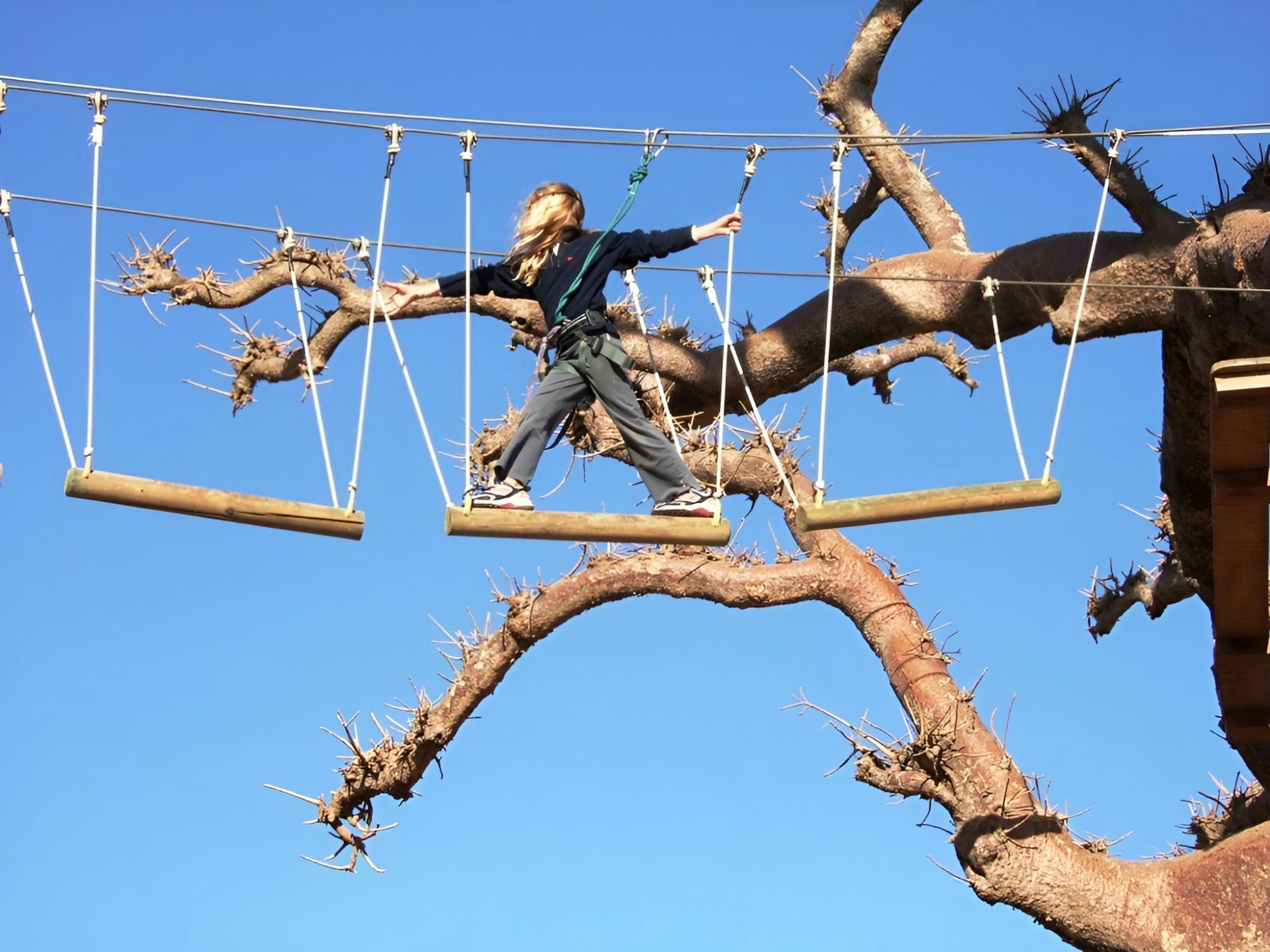 Accrobaobab adventure from Sarene