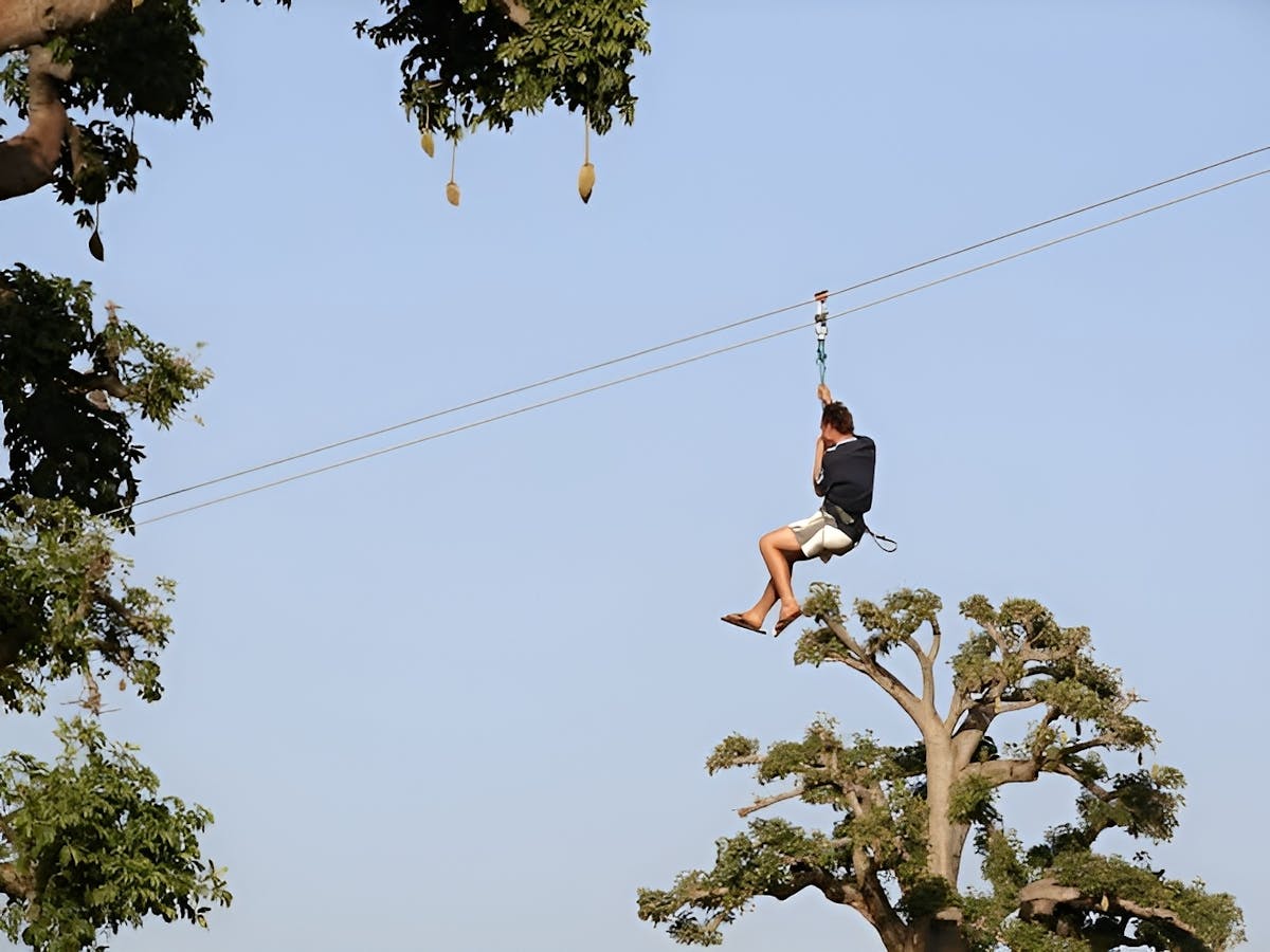 Accrobaobab-avontuur vanaf Saly