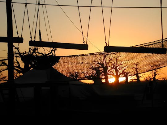 Accrobaobab adventure from Somone