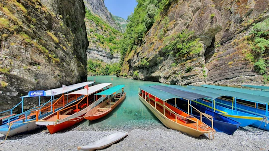 Day tour of Shala River and Koman's Lake from Tirana