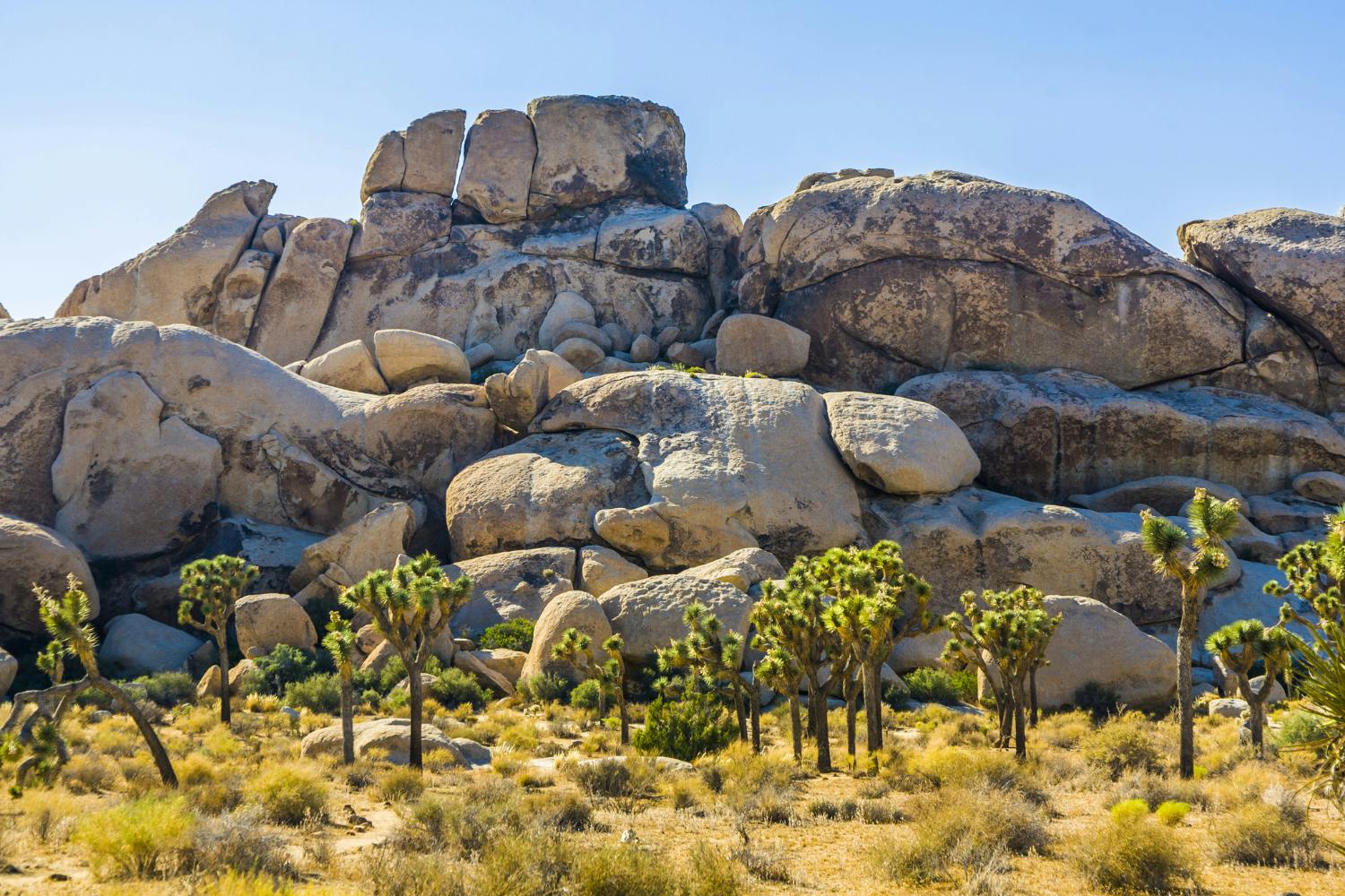 Self-guided audio tour of Hidden Valley trail in Joshua Tree
