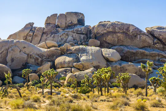 Zelf begeleide audiotour over het Hidden Valley-pad in Joshua Tree