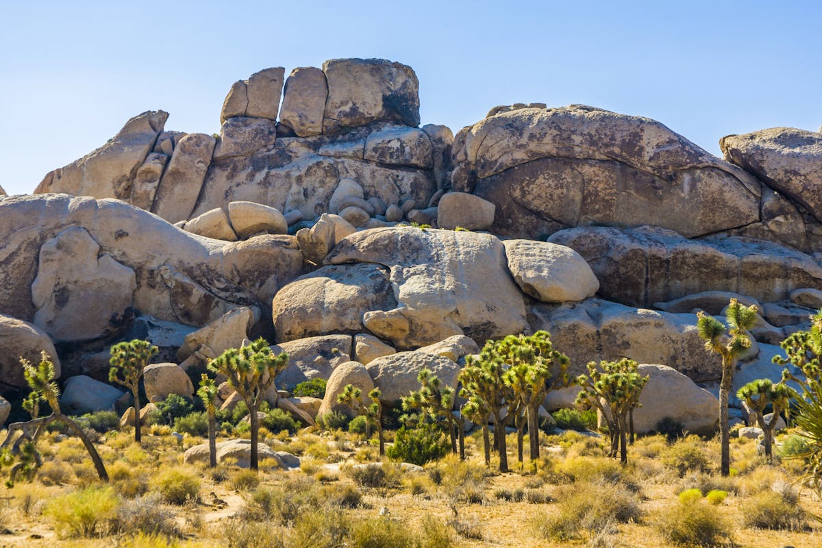 Zelf begeleide audiotour over het Hidden Valley-pad in Joshua Tree