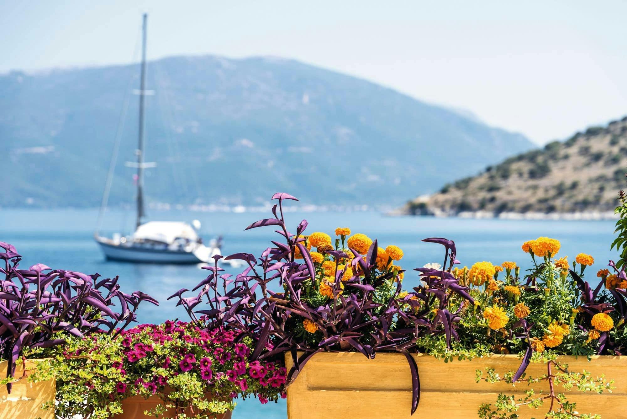 Wieczór w Argostoli z degustacją wina