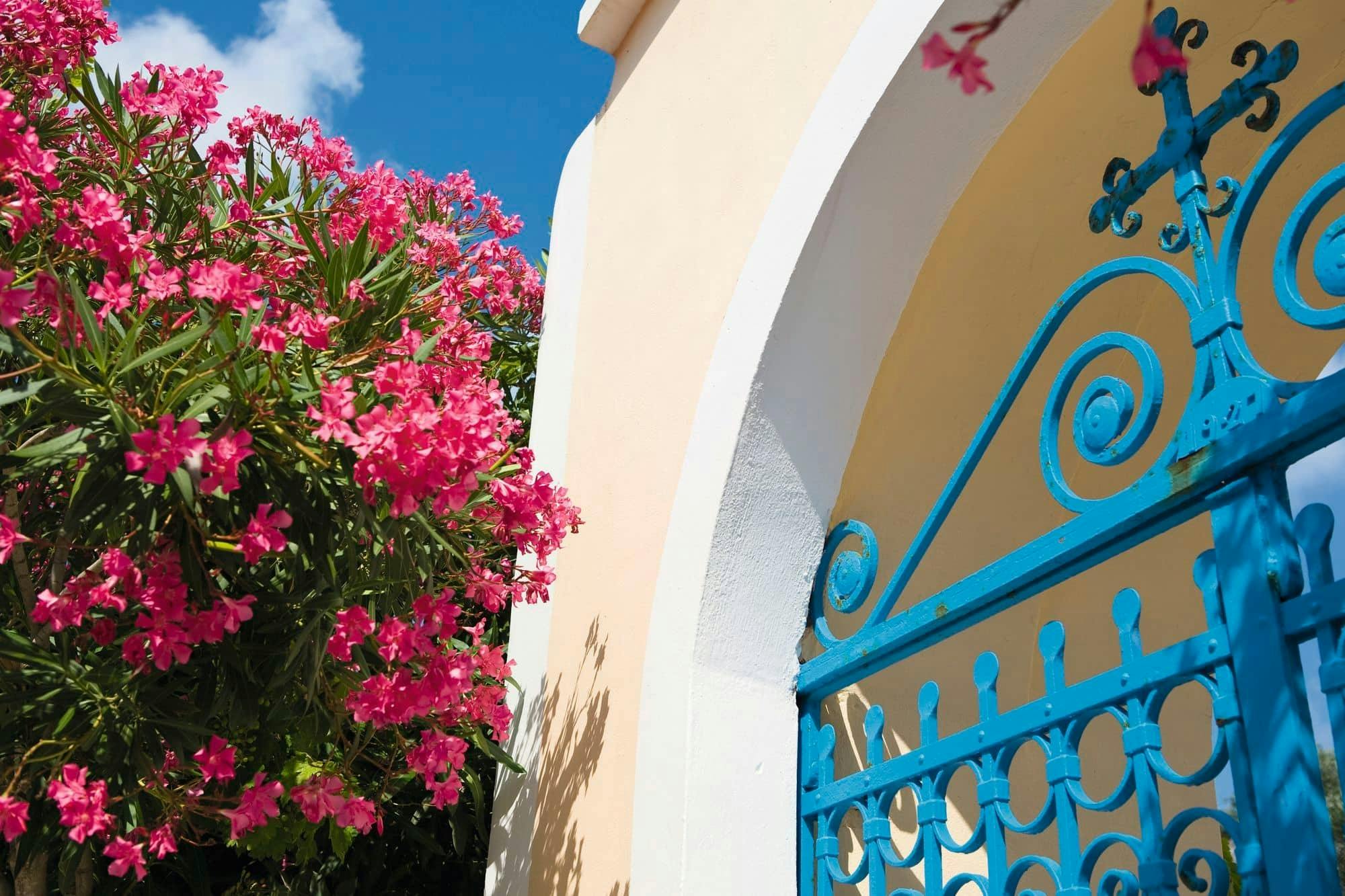 Premier Kefalonia tour with Lake Melissani, boat trip and taverna lunch