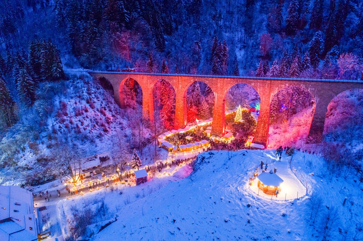 Sprookjesachtige privétour door het Zwarte Woud vanuit Zürich