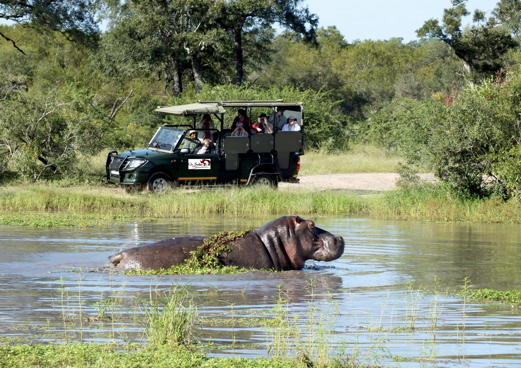 Kruger National Park afternoon safari from Hazyview