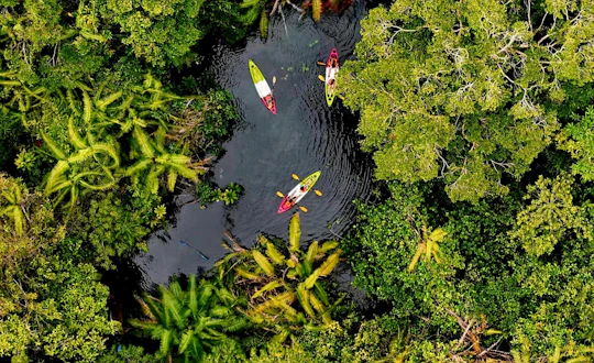Klong Root kayak, batik class, rubber tapping and pineapple farm tour