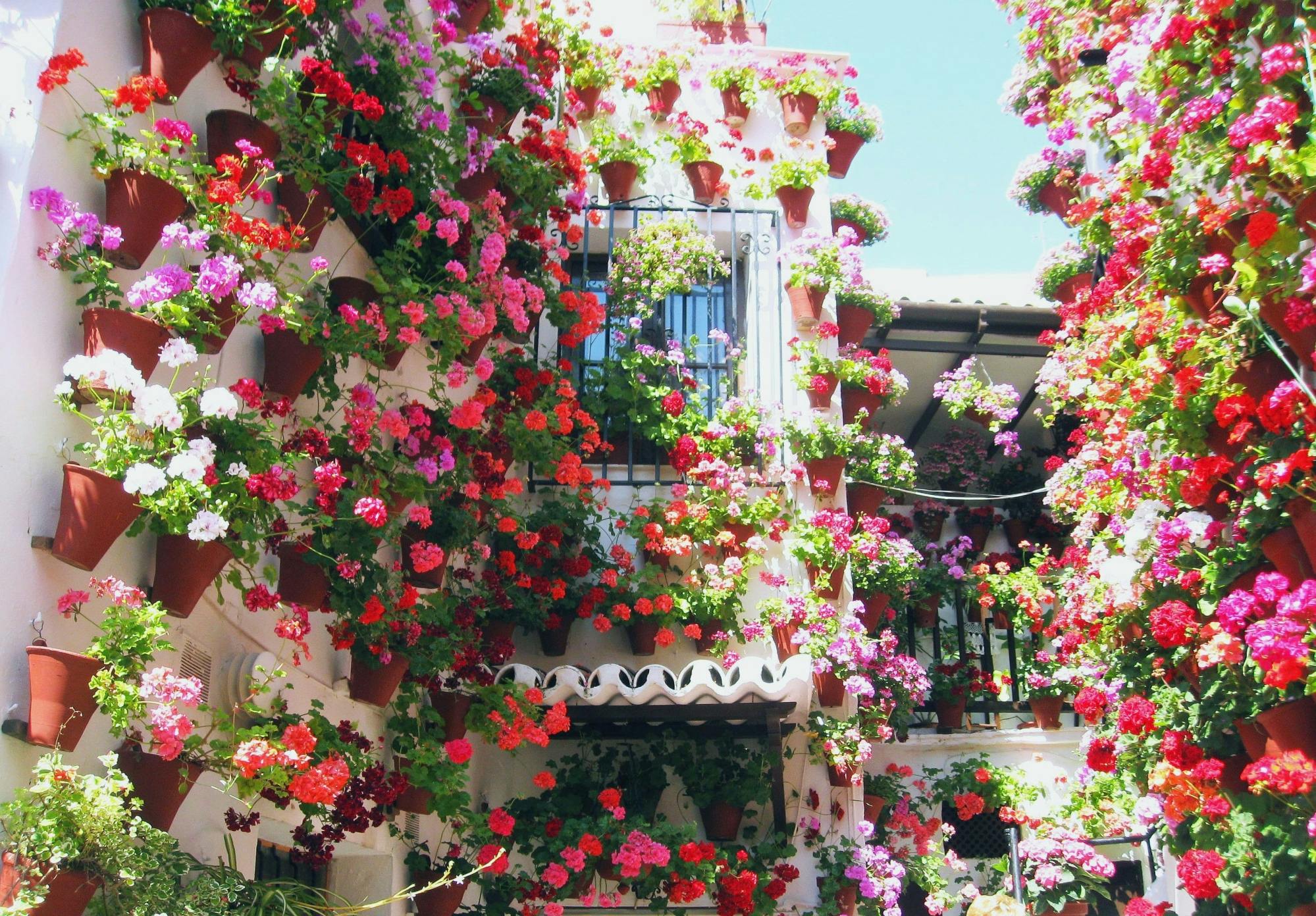 Całodniowa wycieczka po Kordobie podczas La Fiesta de los Patios