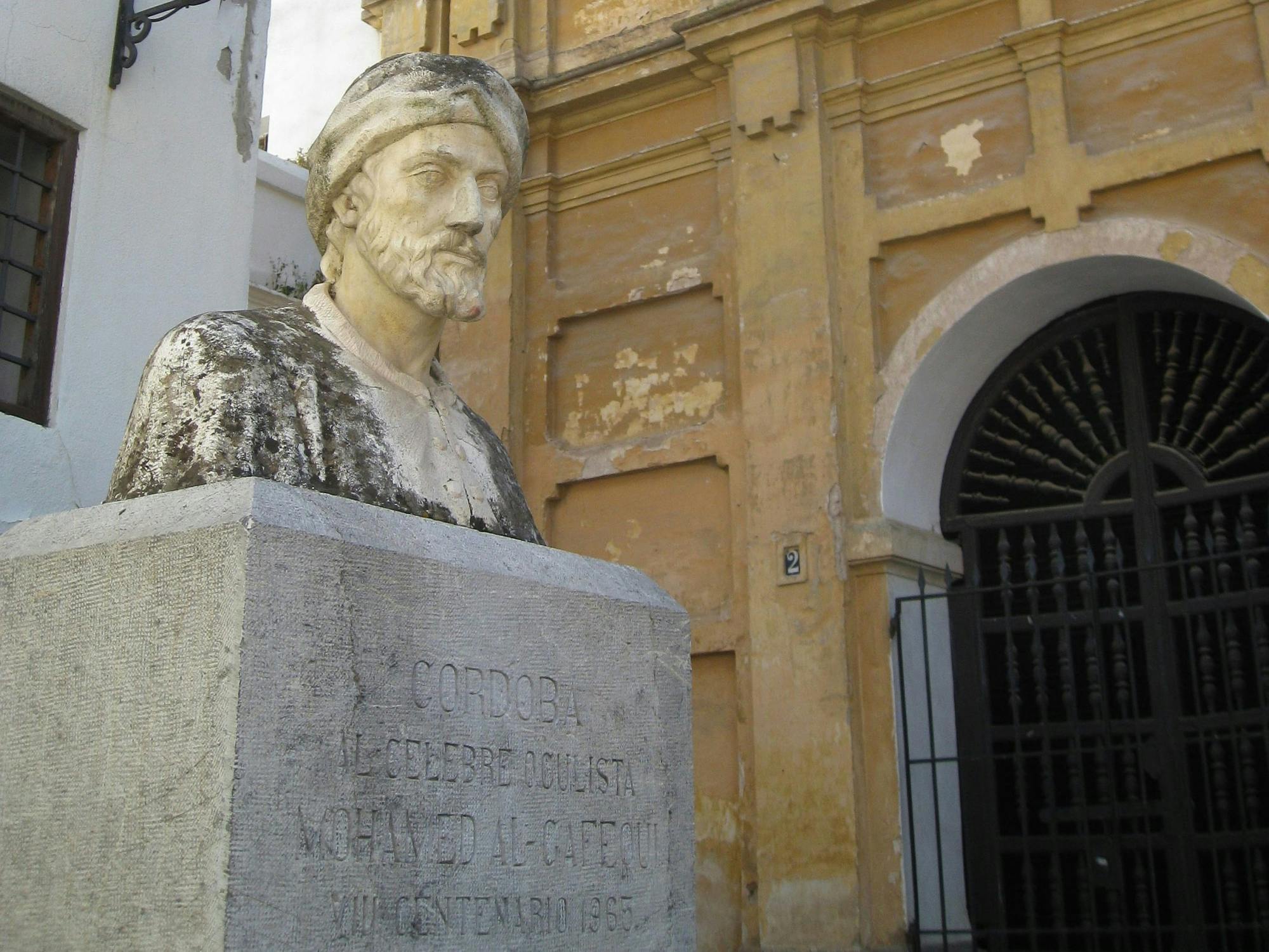 Full-day tour of Cordoba during the Patio Festival