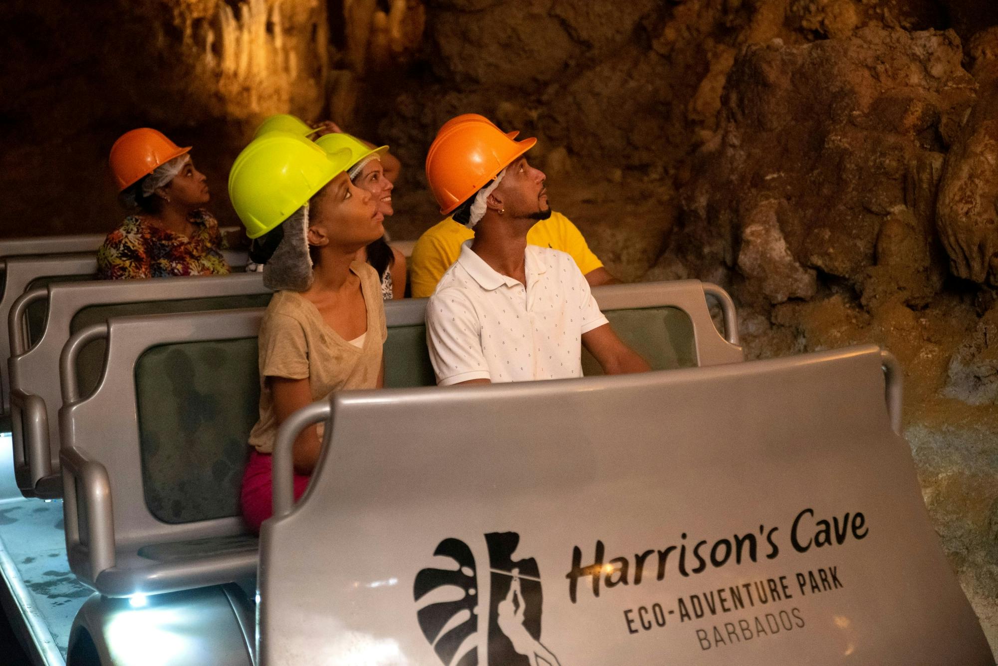 Harrison's Cave tram tour and guided nature hike