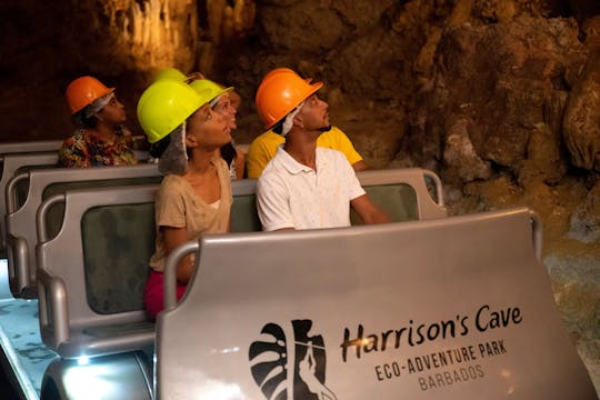 Tramtour door Harrison's Cave en natuurwandeling met gids