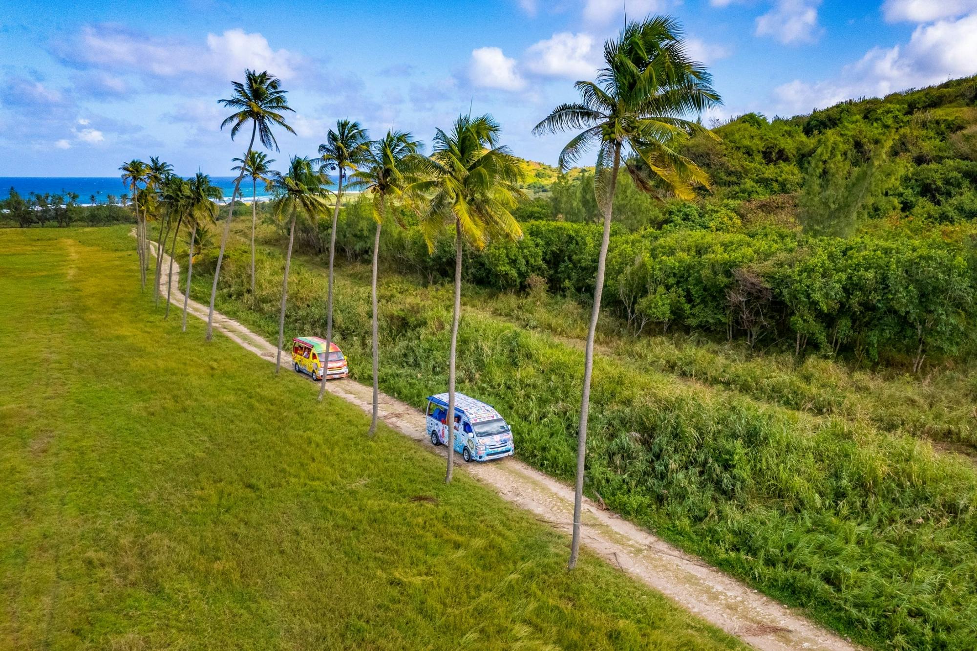 Bajan minibus tours