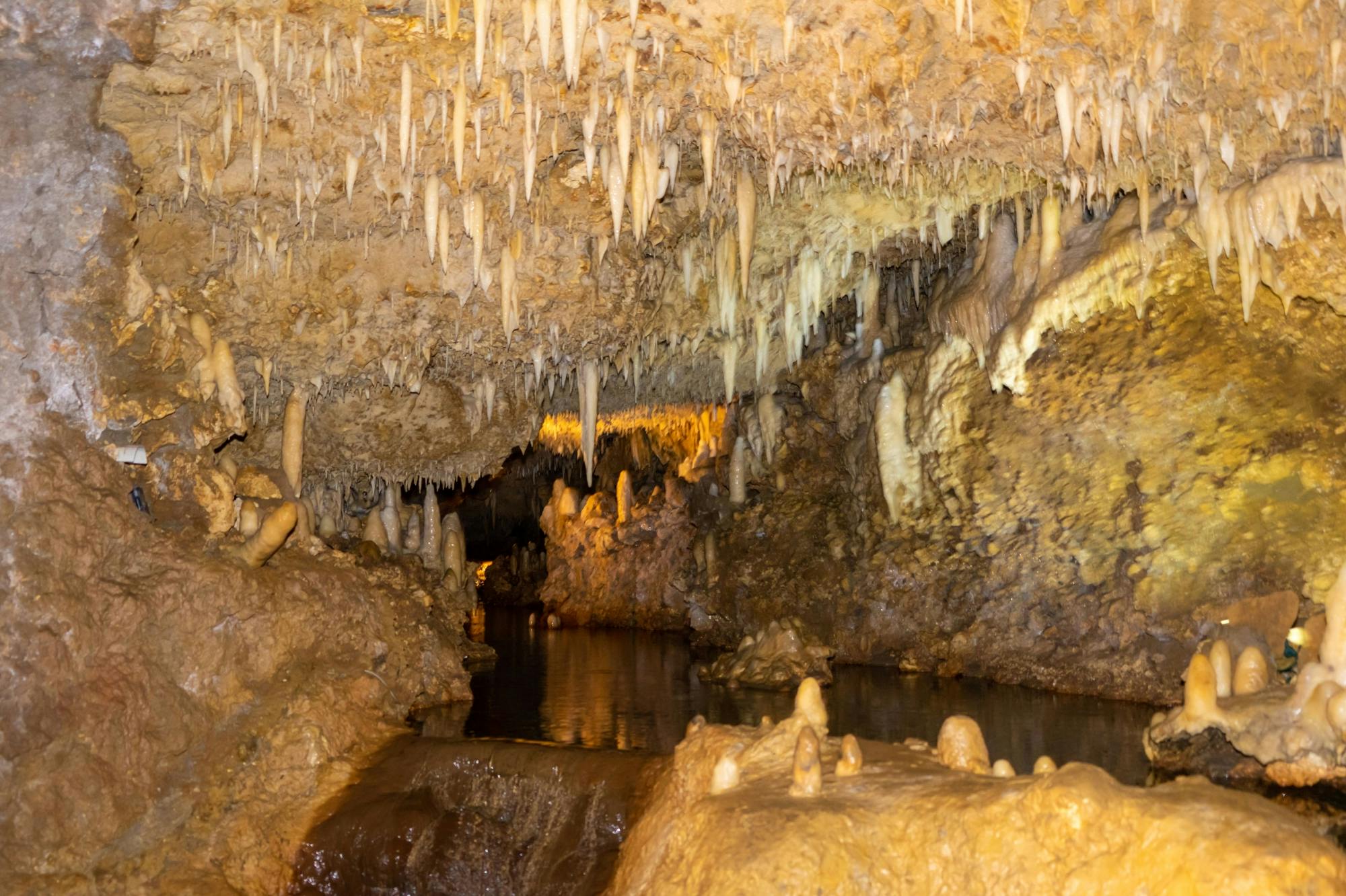 Barbados Flower Forest, Harrison's Cave & Earthworks Pottery Tour