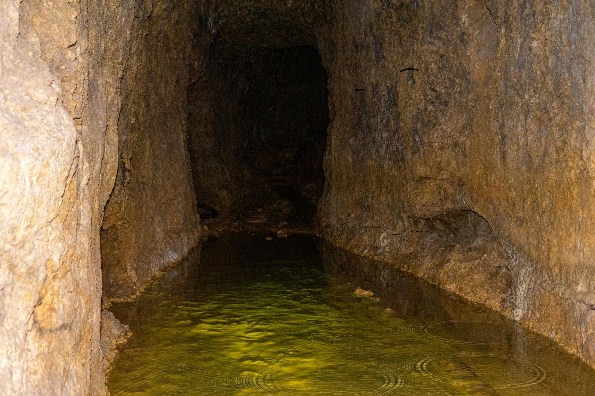 Barbados Flower Forest, Harrison's Cave & Earthworks Pottery Tour