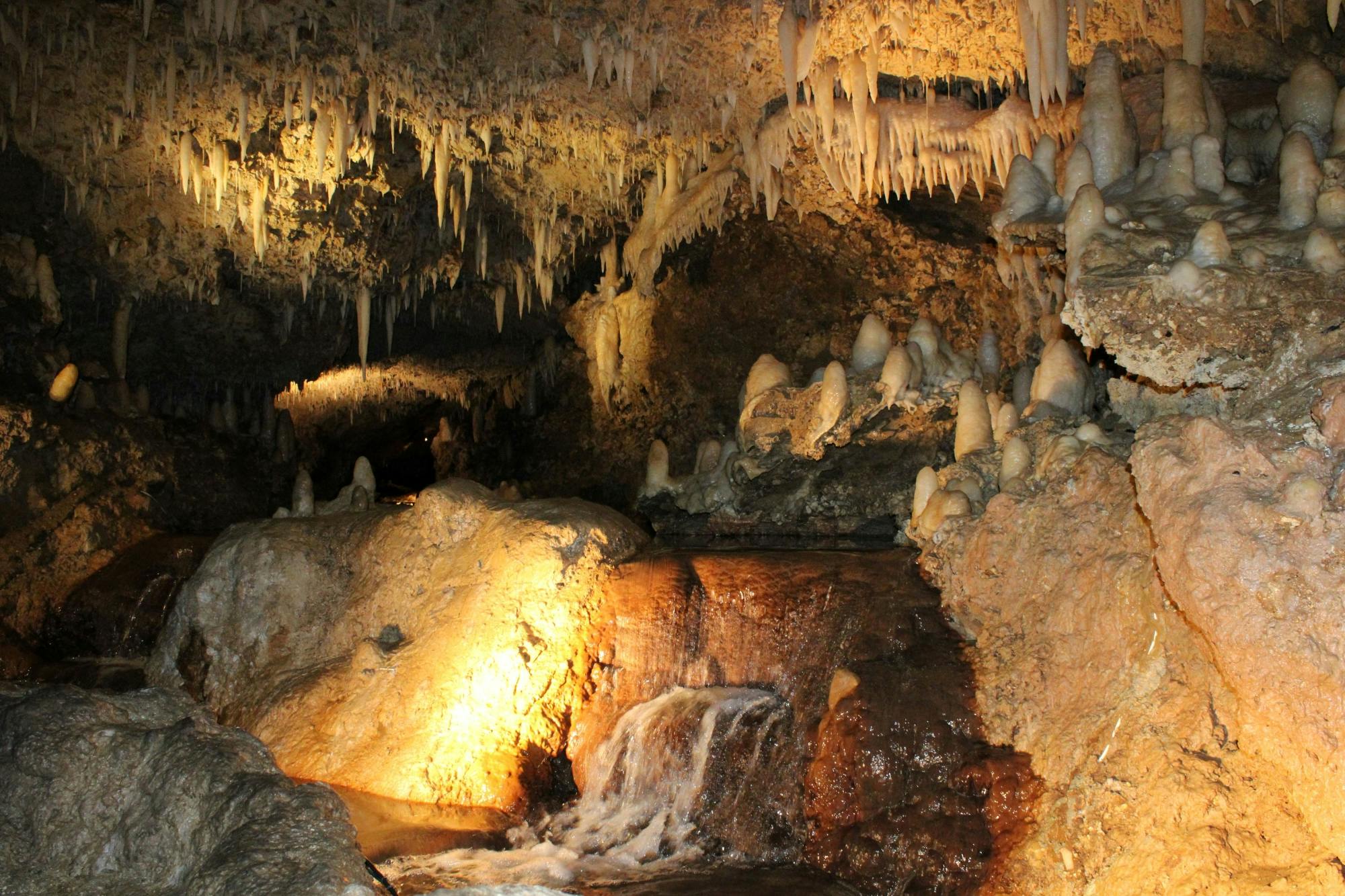 Harrison's Cave adventure pass