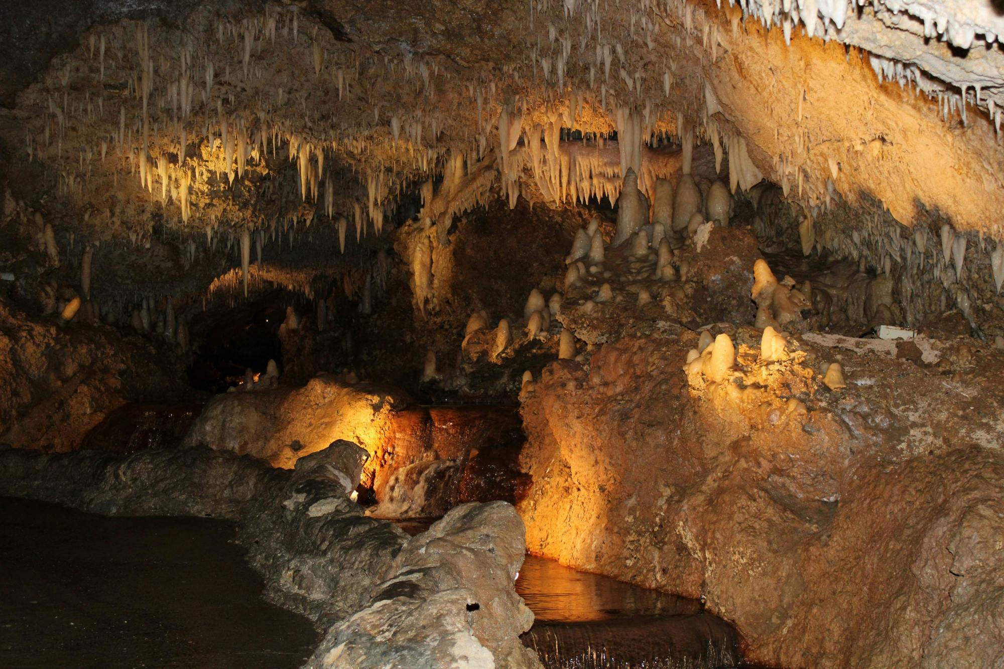 Harrison's Cave adventure pass