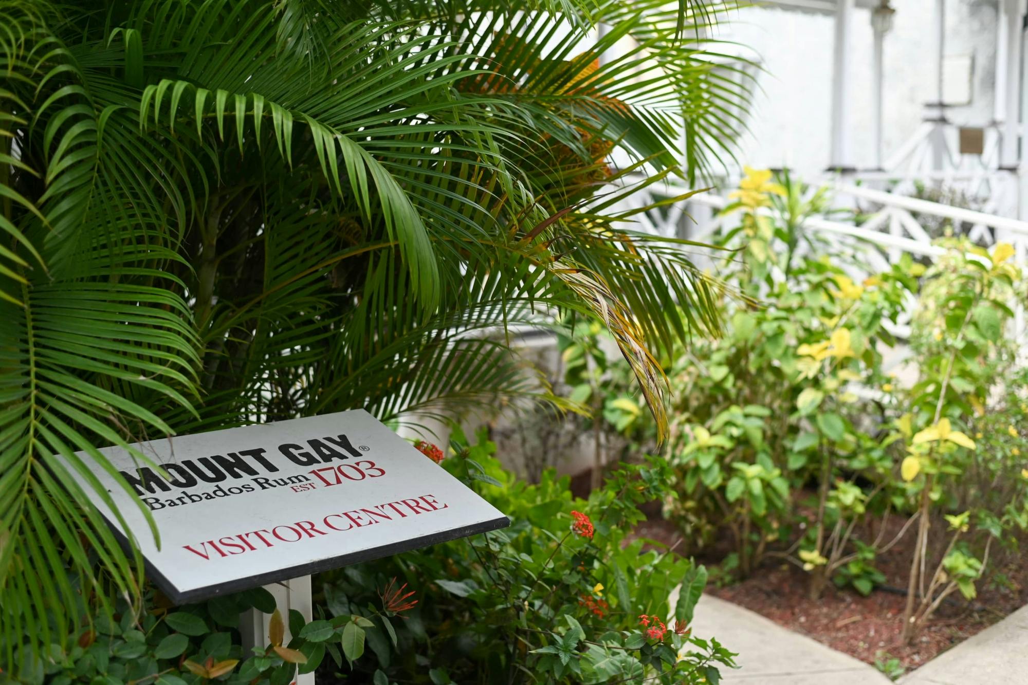 Monkey Zipline & Mount Gay Rum Experience