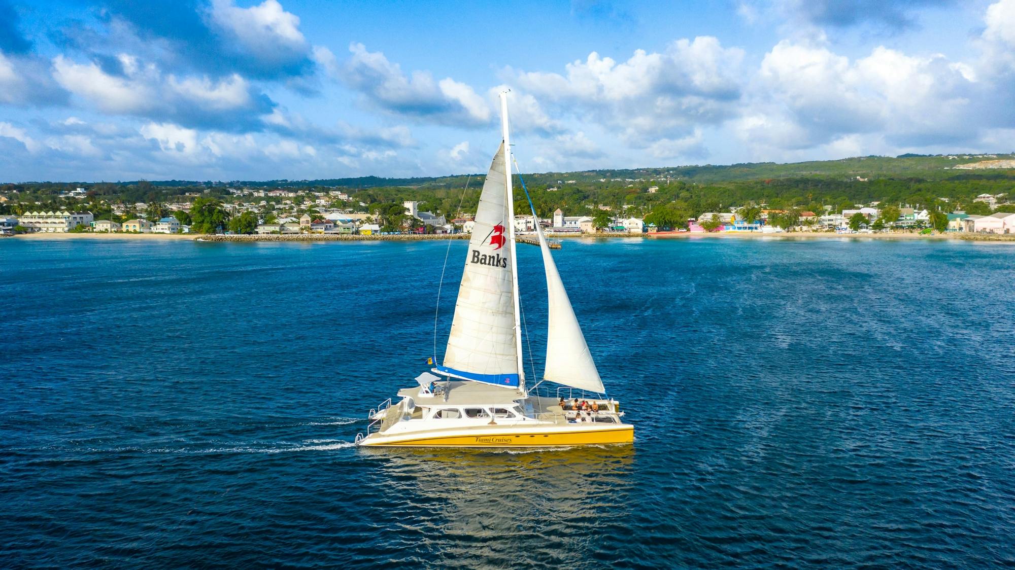 Catamaran and snorkelling cruise in Barbados with lunch