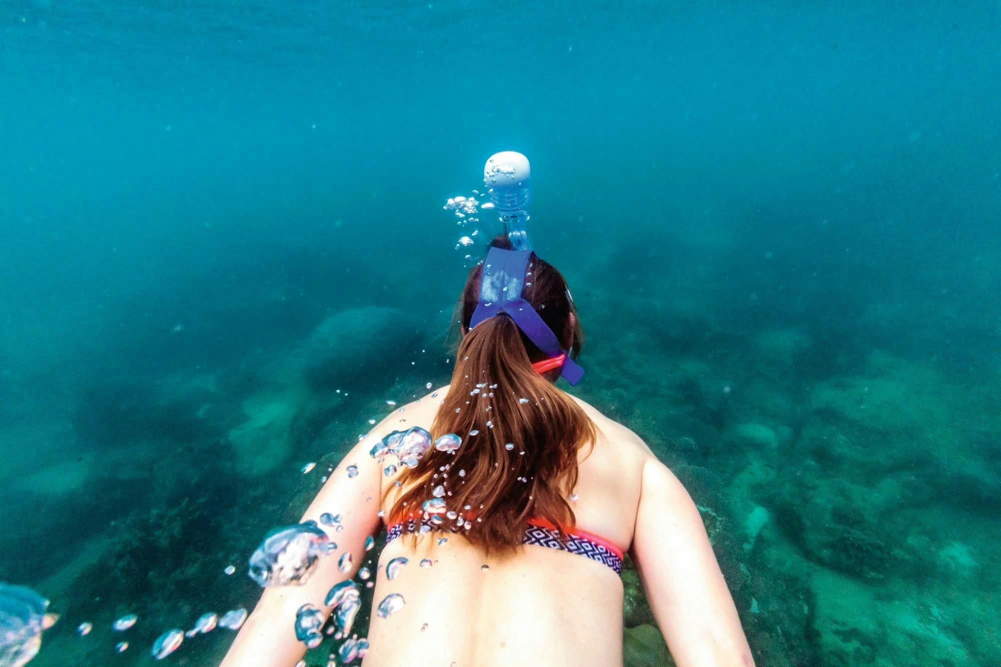 Catamaran and snorkelling cruise in Barbados with lunch