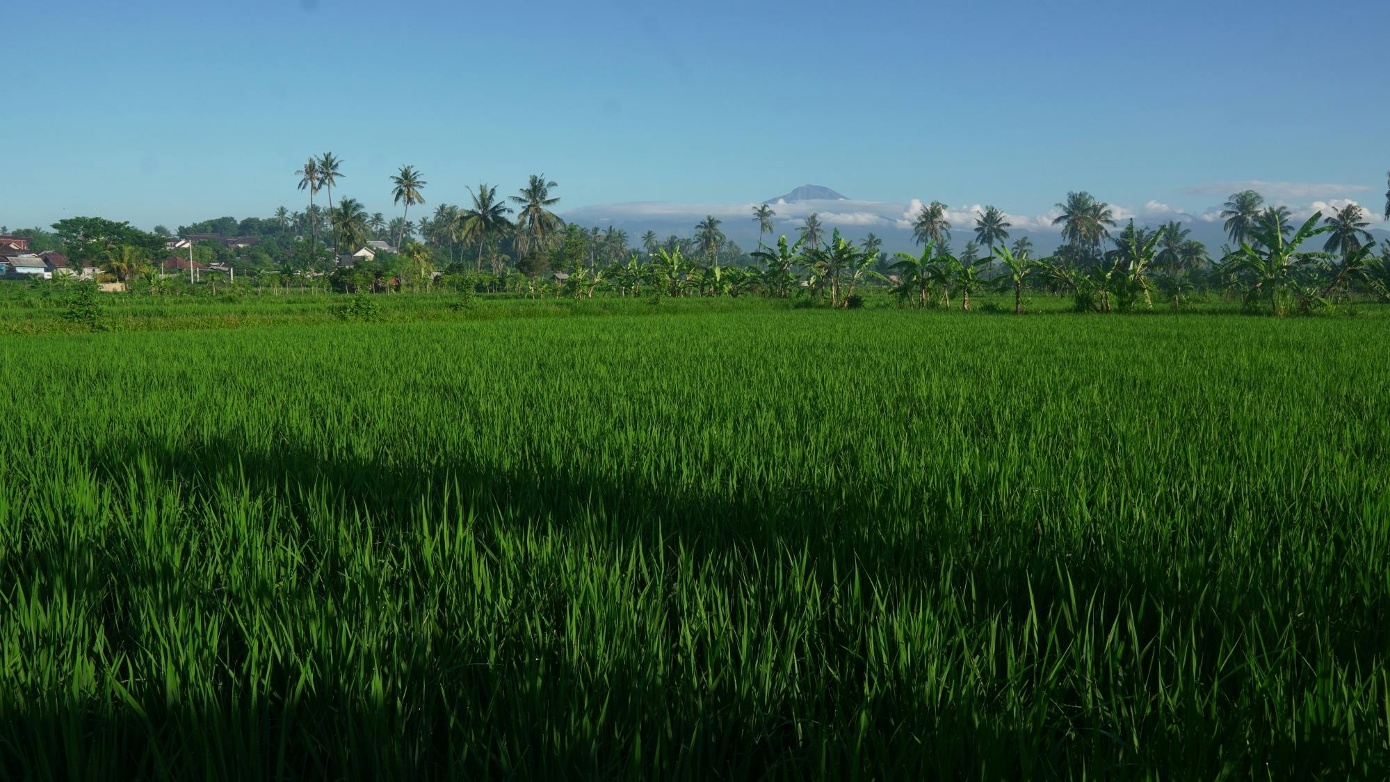 Rural villages and sacred caves cycling adventure in Lombok with lunch