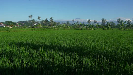 Rural villages and sacred caves cycling adventure in Lombok with lunch