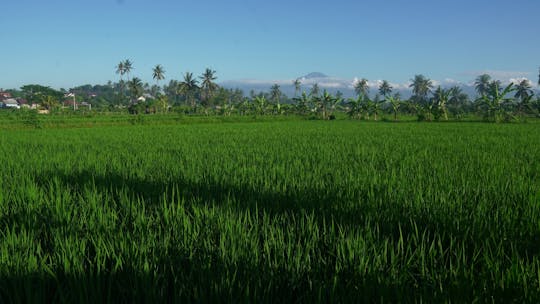 Rural villages and sacred caves cycling adventure in Lombok with lunch