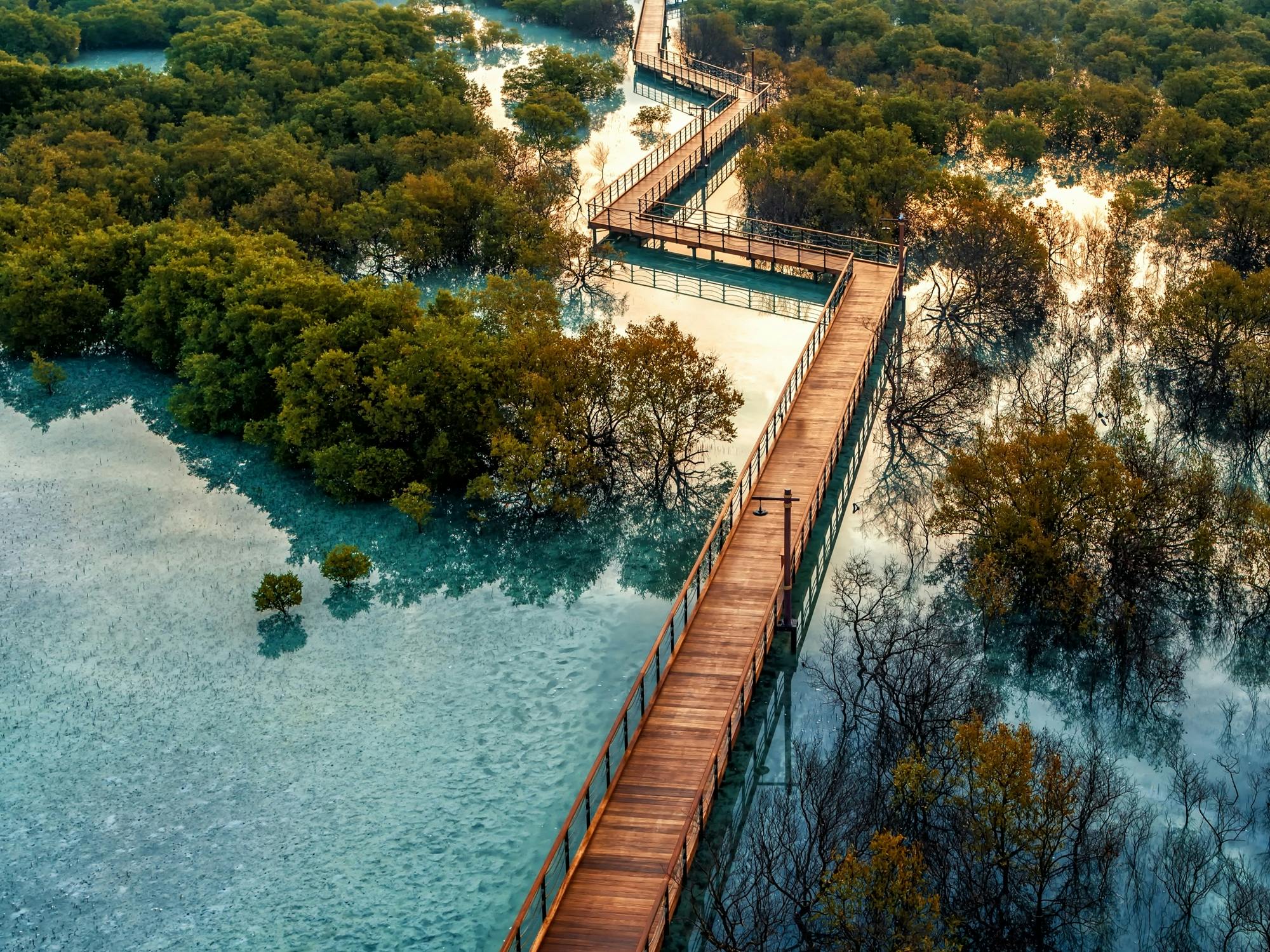Jubail Mangrove Park private walking tour with a ranger