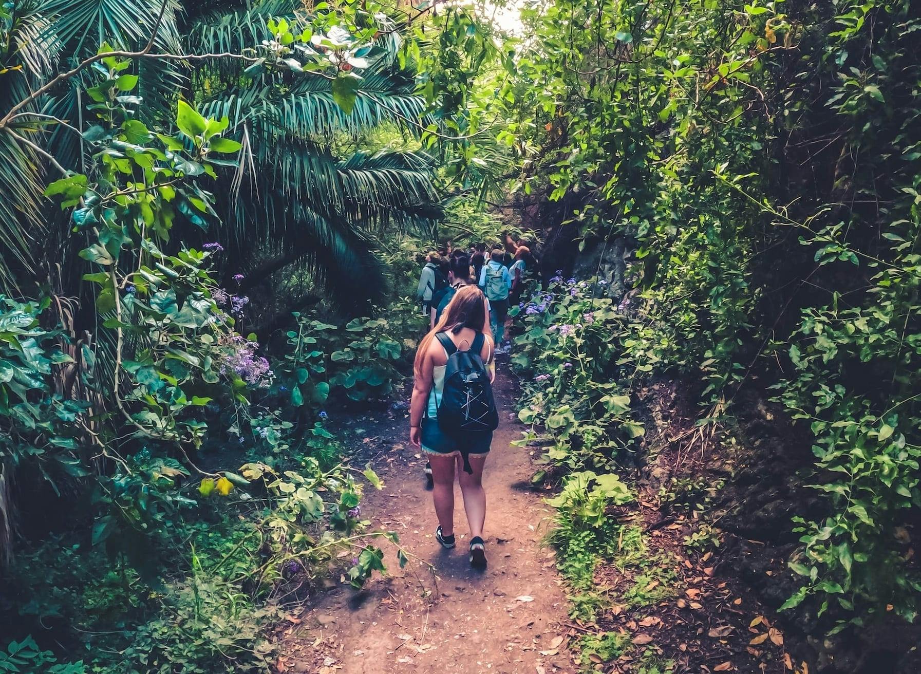 Ganztägiges Wandererlebnis im Regenwald